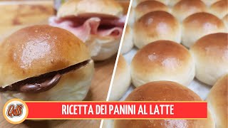 PANINI AL LATTE: RICETTA FACILE E GUSTOSA - QUELLI DI BONCI