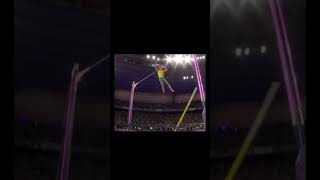 Theyre Actually The Cutest  The Alchemy 