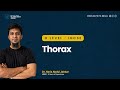 4. O Level / IGCSE Biology | Thorax