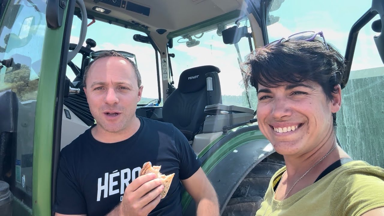 Une belle journée de vendanges 