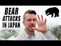 Bear attacks in Japan - risks and how to be safe.