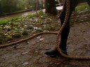 Survival NK RUC Leeuwarden
