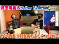 浜田麻里「Helter Skelter」 ウソでしょ?と思う声にもう笑うしかなくなった【Room3の見れるラジオ】  (Blue RevolutionのB面 ビートルズ・カバー)