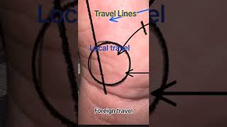 Travel Lines