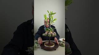 Grandpas Christmas Arrangement