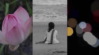 Dream Memories And Reflection An Arjun Samanta Ray Film  Trailer