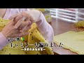 🔰編み図通りに編める?|メリヤス編み|糸紡ぎの道具購入|手紡ぎ糸