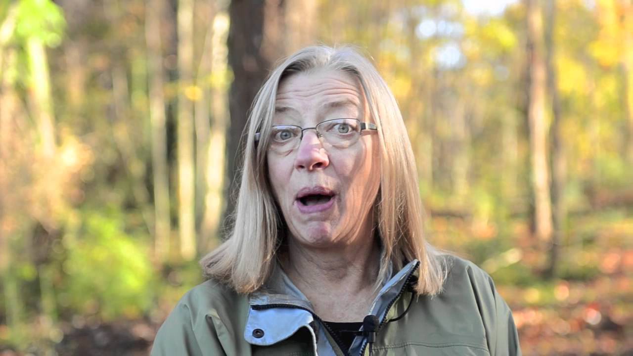 Environmental Artist in Residence Program at McColl Center for Visual Art