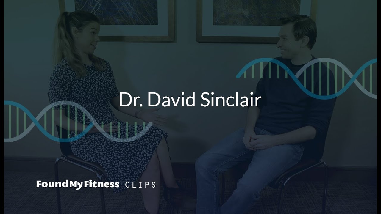 Resveratrol improves aortic stiffness (in rhesus monkeys) | David Sinclair