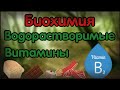 Биохимия. Лекция 14. Водорастворимые витамины. Витамин B2.