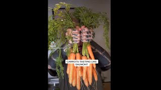 Preserve Carrots by making Vegan Salmon! #shorts #short #shortvideo #veganrecipes #veganfood
