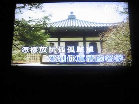 曾是台灣排名第一的(陳英豪)鋼琴王子歌手我本人，好想當場自彈自唱送給老婆大人的其中一首歌曲(真情味)ktv