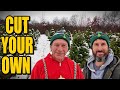 Behind The Scenes At A REAL Cut Your Own Christmas Tree Farm 