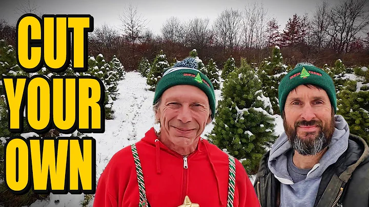 Behind the Scenes at a REAL Cut-Your-Own Christmas Tree Farm!