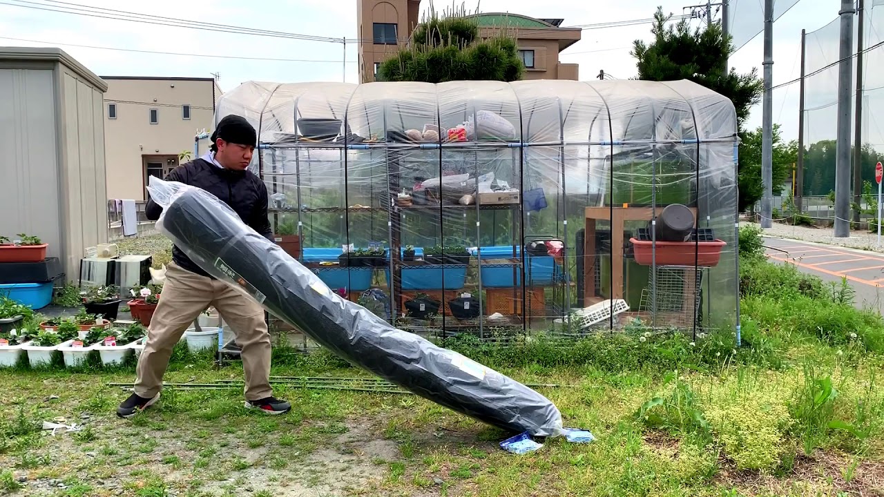 Home Gardening Vlog: 