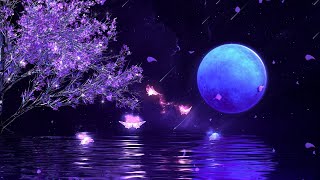 [Deep Sleep] Music To Sleep Soundly In Less Than 5 Minutes•Relaxing Music To Sleep screenshot 1