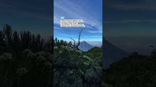 cover coversong katahatimotivasi katakatabijak quotes fromkatabijak beranda