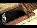 MOD SUN TV : vlog 7
