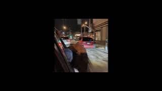 zdechły osa - patolove (slowed down   reverb)