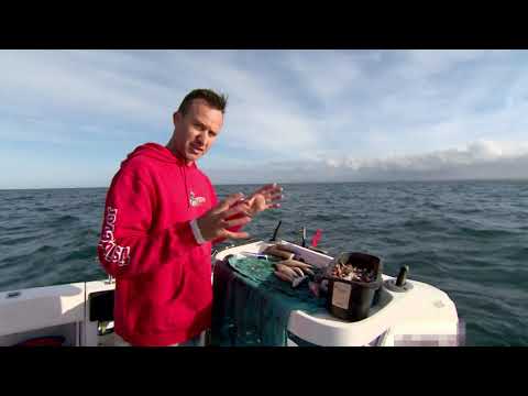 Rigging up a silver whiting with Lee Rayner