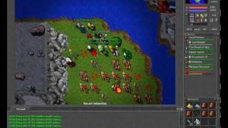 Rad Tibia