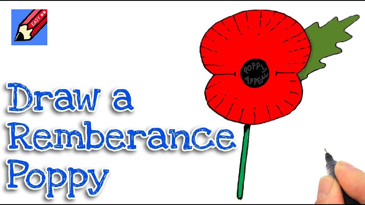 How To Draw A Poppy