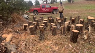 Firewood Adventure #16: Hand splitting $200 worth of firewood in 15 minutes