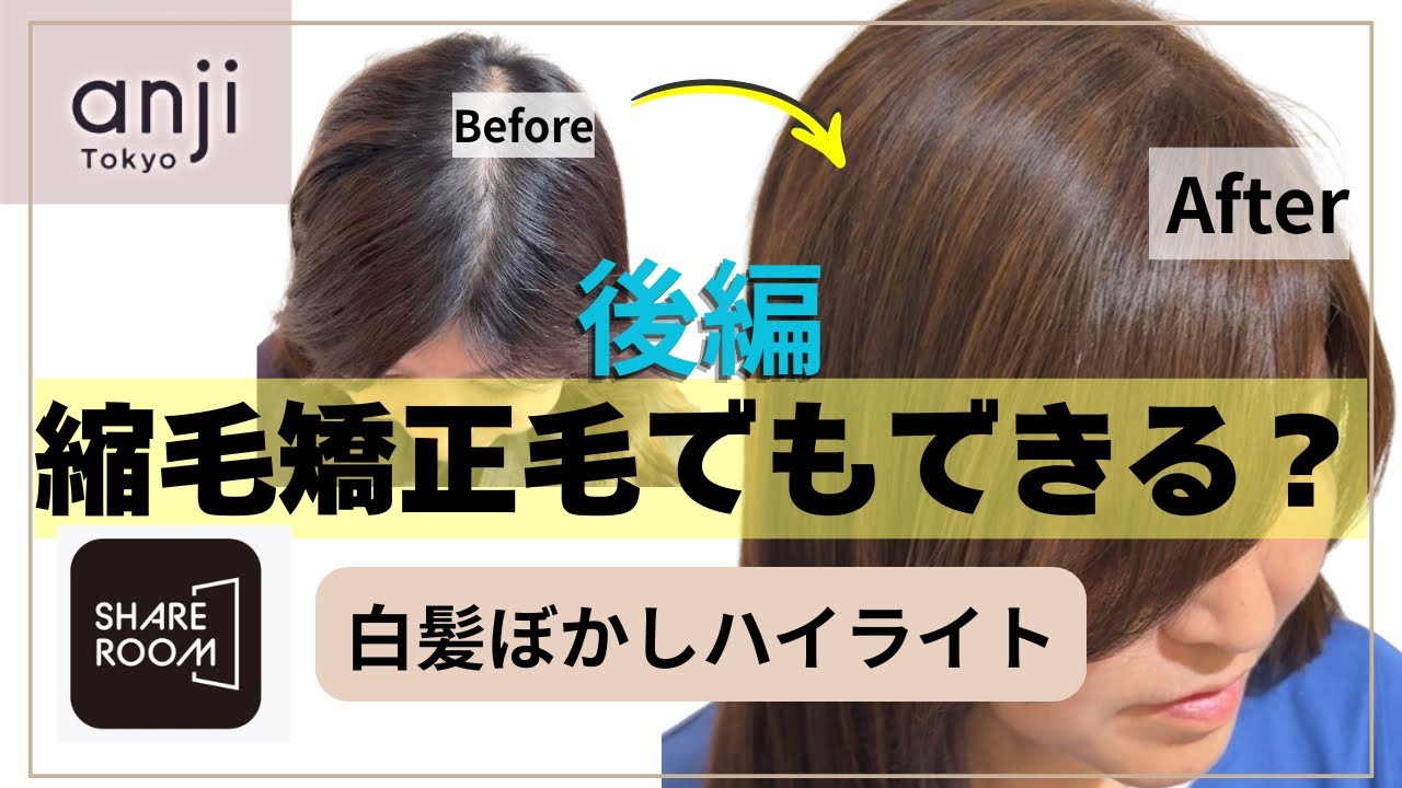 【後編】縮毛矯正毛への白髪ぼかしハイライト|仕上がりと施術ポイント〈ブリーチハイライト〉白髪ぼかしハイライト〉〈ミディアムヘア〉