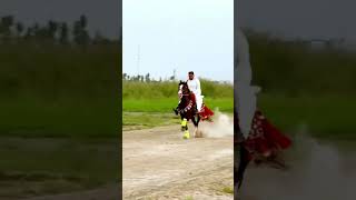 Powerful horse riding with speed, strength, and control 🐎🔥Like 👍 Share 🔁 Subscribe ❤️ #horseriding
