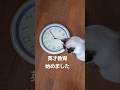 時計の読み方を勉強中〜 #ねこ#cat #ねこのいる生活#英才教育