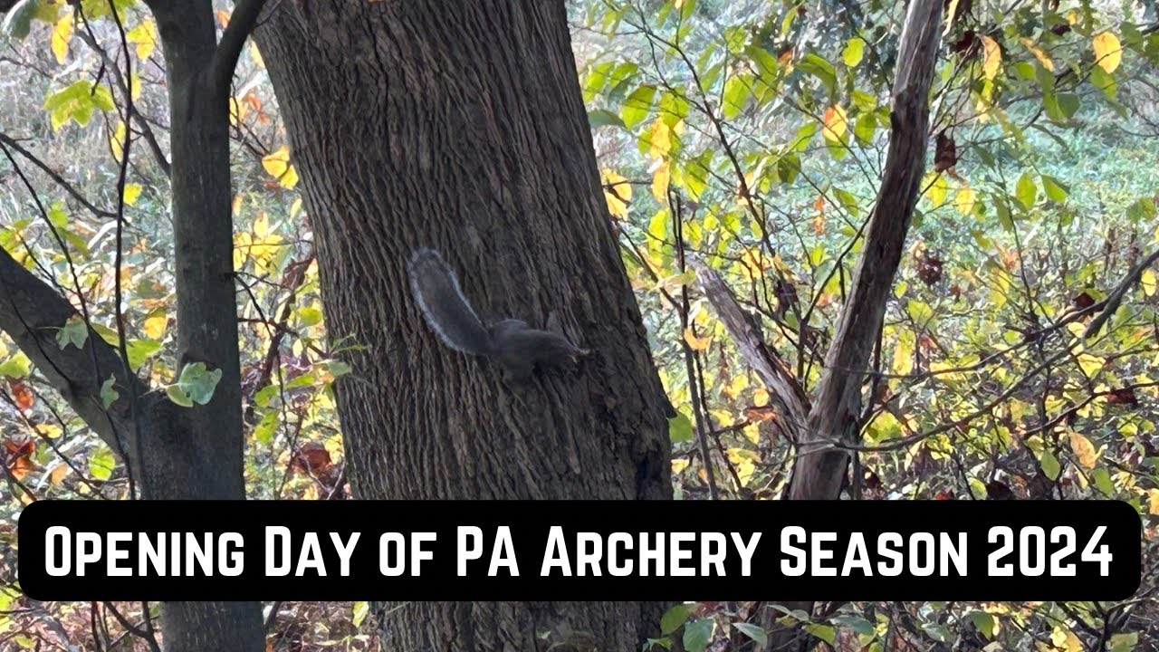 opening-day-of-pa-archery-season-2024-youtube