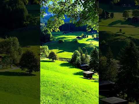 تلاوة هادئة تريح القلب والعقل تنسيك الدنيا وهمها قران كريم بصوت جميل جدا تشعر براحة نفسية