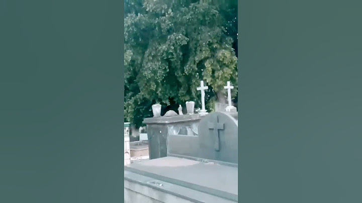 Fantasma aparece em cemitério do Rio de Janeiro #shorts