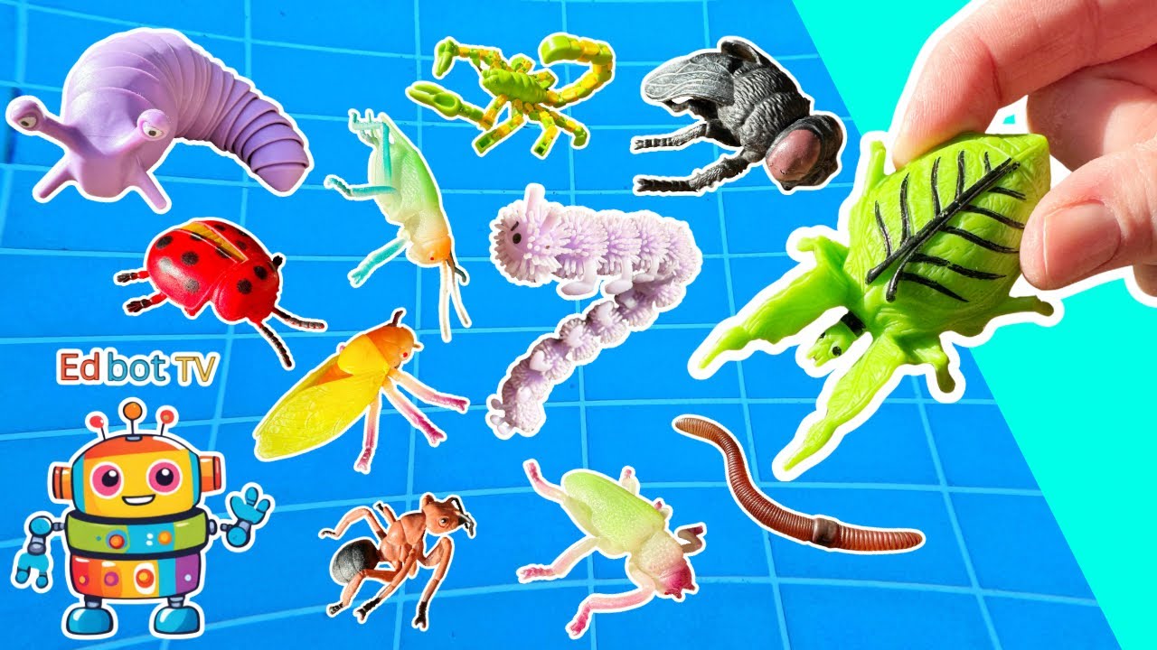 Sink or Float | Learn Bug Insect Names for Kids: Leaf Insect Slug ...