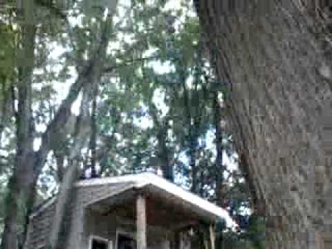 climing a tree with a rope