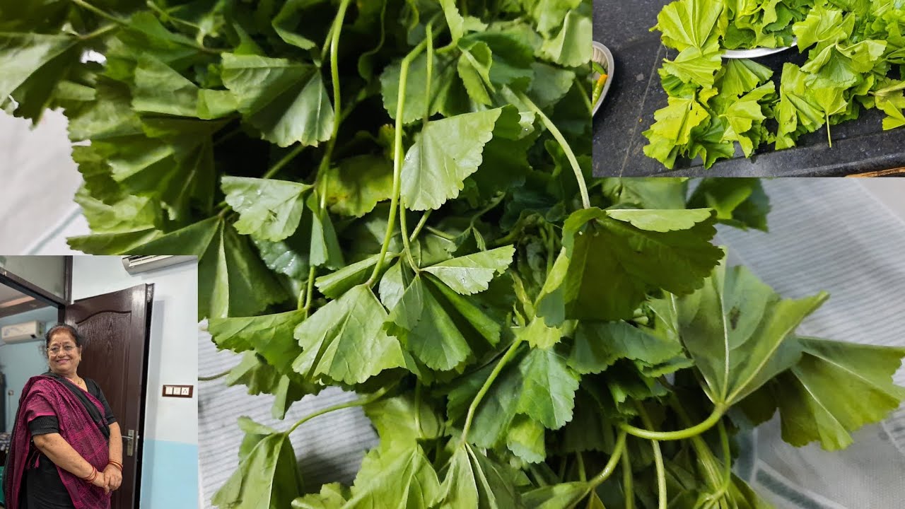 लाफा सांग बंगाल का प्रसिद्ध लाफा  Mira kitchenसांग बहुत स्वादिष्ट 👌🏻🤗🙏🙏