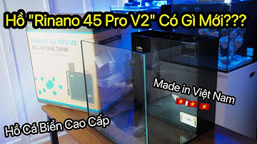 Unbox, Set-up Và Review Nhanh Bộ Hồ Rinano 45 Pro V2 | Set Hồ Nuôi Cá Biển Cao Cấp Made in Việt Nam