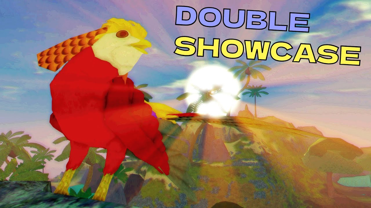 Pheasant Update DOUBLE Showcase Feather Family YouTube