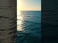 indian ocean 🌊 #indigo #war