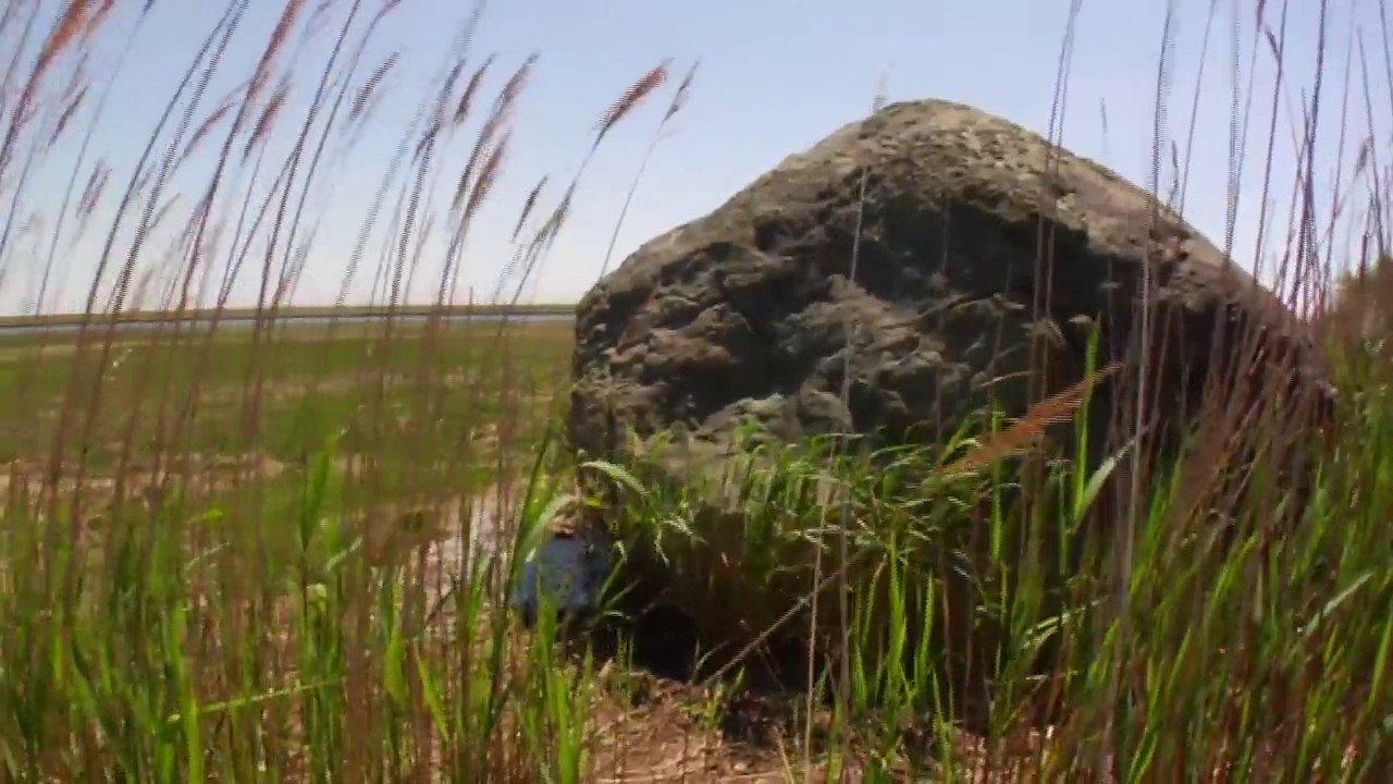 Henry Beston's Cape Cod: Meditations on the Outer Beach (Exclusive Content)