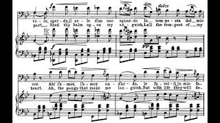 Il balen del suo sorriso (Il Trovatore - G. Verdi) Score Animation
