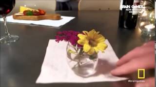 Brain Games- Anamorphic Illusion