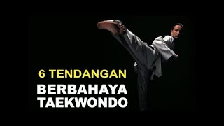 6 Tendangan Berbahaya Taekwondo || Nugrohox87 || Martial Art