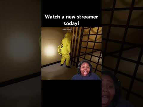 Giving Chihuahua Realness Horrorgame Shorts Gamingcontent Gaming Girlgamer 