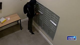 Mail theft crimes at Museum District