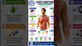 Liver function