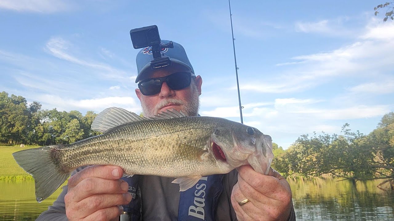 Kayak Bass Fishing in a City Pond! Nashville Summers Are HOT! Bass