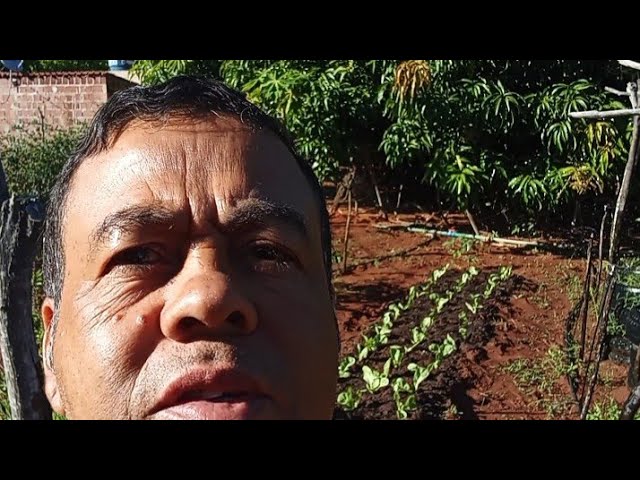 Conheça um sistema de irrigação do sertão.