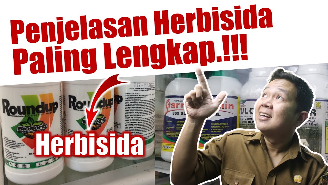 Wajib Tau.❗❗❗ Penjelasan 3 Tepat Aplikasi Herbisida | Pestisida Rumput Liar | Gulma Pengganggu