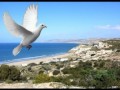 Hakim Ayawen Al Hoceima D Nador 